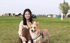 圆房的过程视频